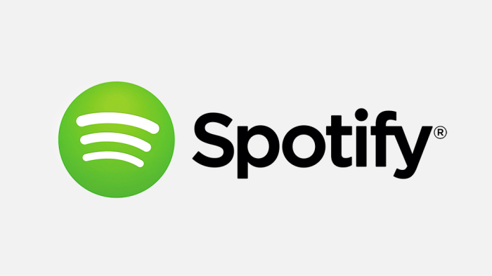 Spotify plan a launch in India within 6 months