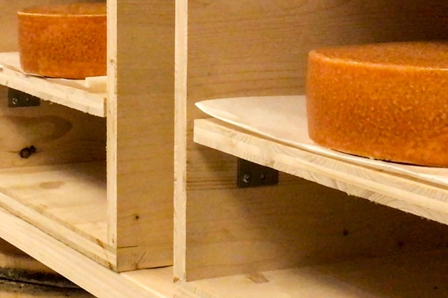 Which genre of music makes the best cheese? This study found out