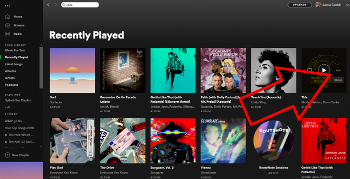 How To Clear Recently Played In Your Spotify Library Routenote Blog