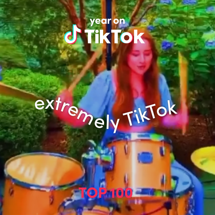 Extremely TikTok- Top product elements