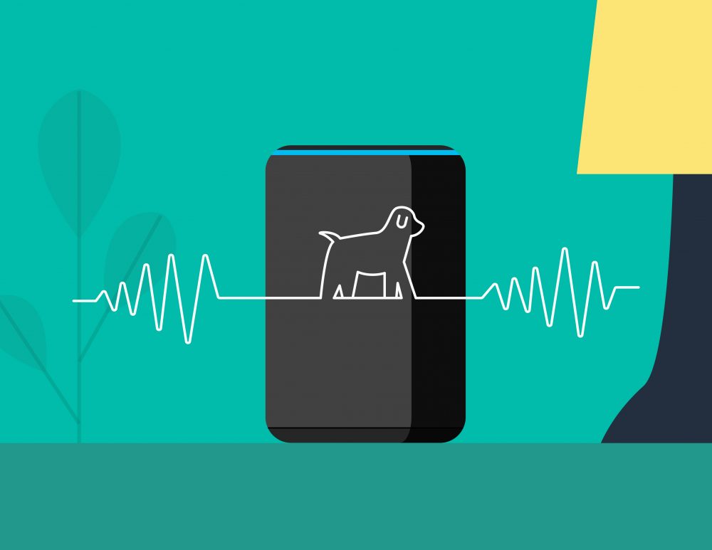 Amazon introduce Alexa Guard Plus, Energy Dashboard and Proactive