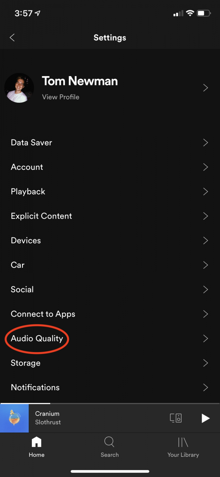 how to download music on spotify with cellular data