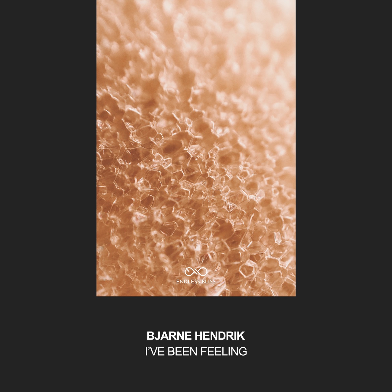 Album artwork for Bjarne Hendrik - I