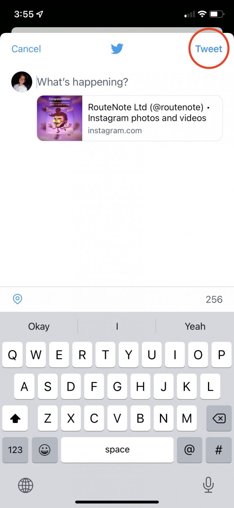 how-to-share-instagram-posts-on-twitter-with-previews-routenote-blog