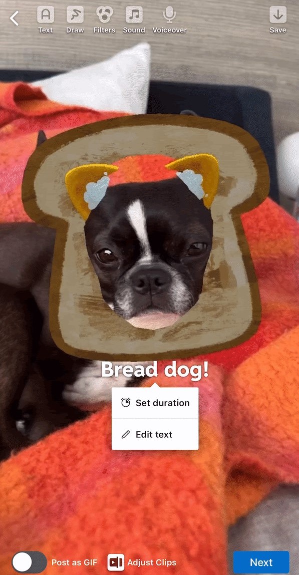 reddit-first lenses - bread dog meme