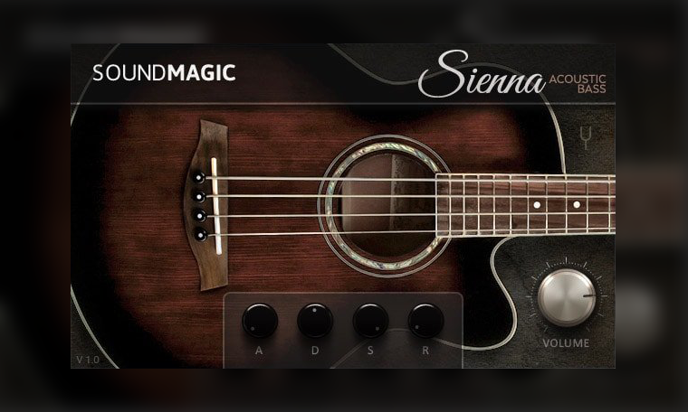 Sienna Bass is a free acoustic bass guitar plugin