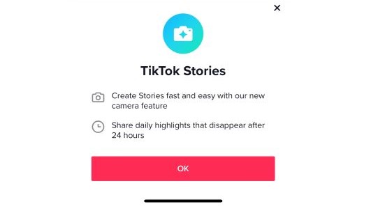 TikTok Story