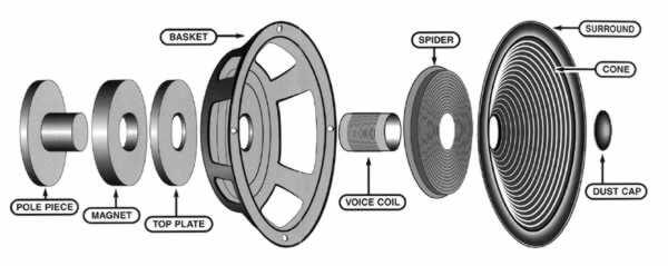 The parts of a speaker box.

Firstly, a dust cap and cone move air and produce sound.
Behind the cone, the spider/suspension holds the cone in place while allowing it to oscillate.
Then, a magnet and a voice coil interact and convert electrical energy into motion.
Holding these in place is the basket.
And behind the basket comes the pole and top plate.
Finally, a frame mounts everything together.