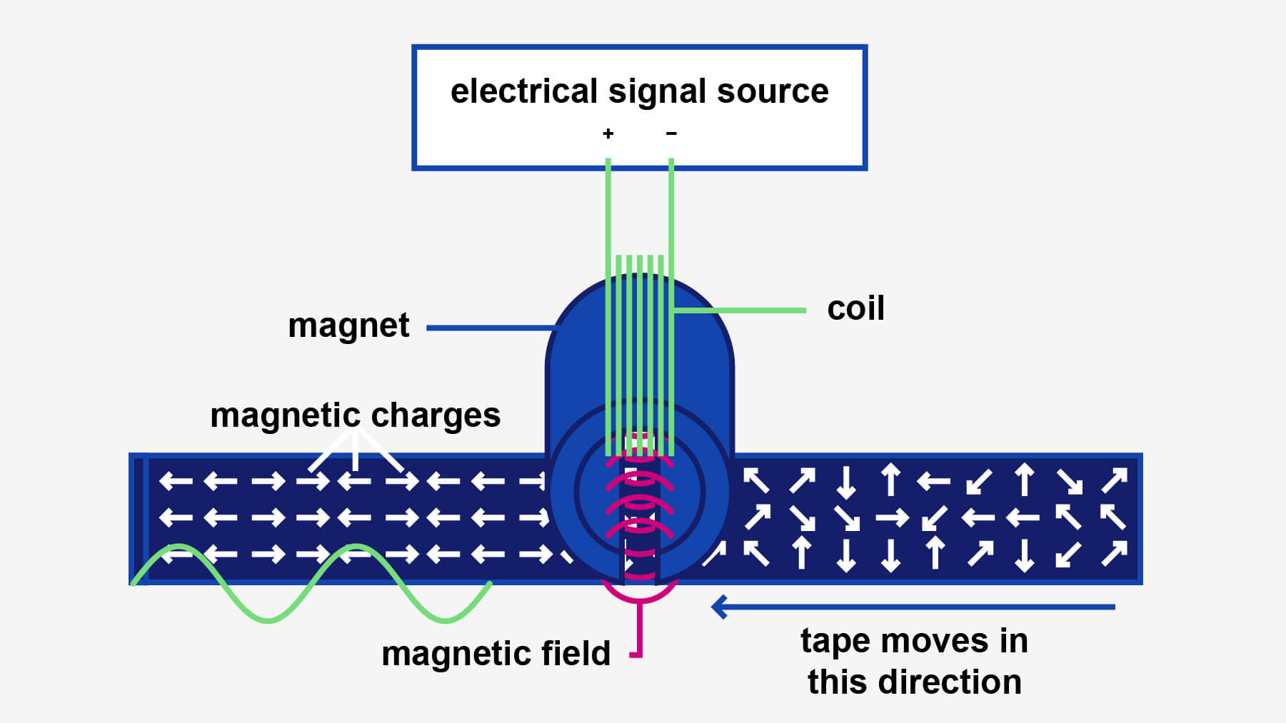 How to record with an analog tape deck 

As the tape passes through the magnetic field it magnetically charges particles along the tape. As a result, the imprinted magnetic charges along the tape resemble the fluctuations of the electrical signal.

More specifically, the magnitude of the magnetic charges on the tape resembles the amplitude levels in the recording.