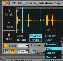 Initial Slice - Loop Slicer  Sampler incl. over 300 royalty free melodic  loops