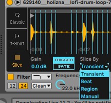 Ableton does have a few other slicing options such as 