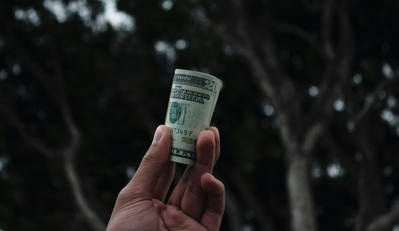 person holding up a roll of dollar bills