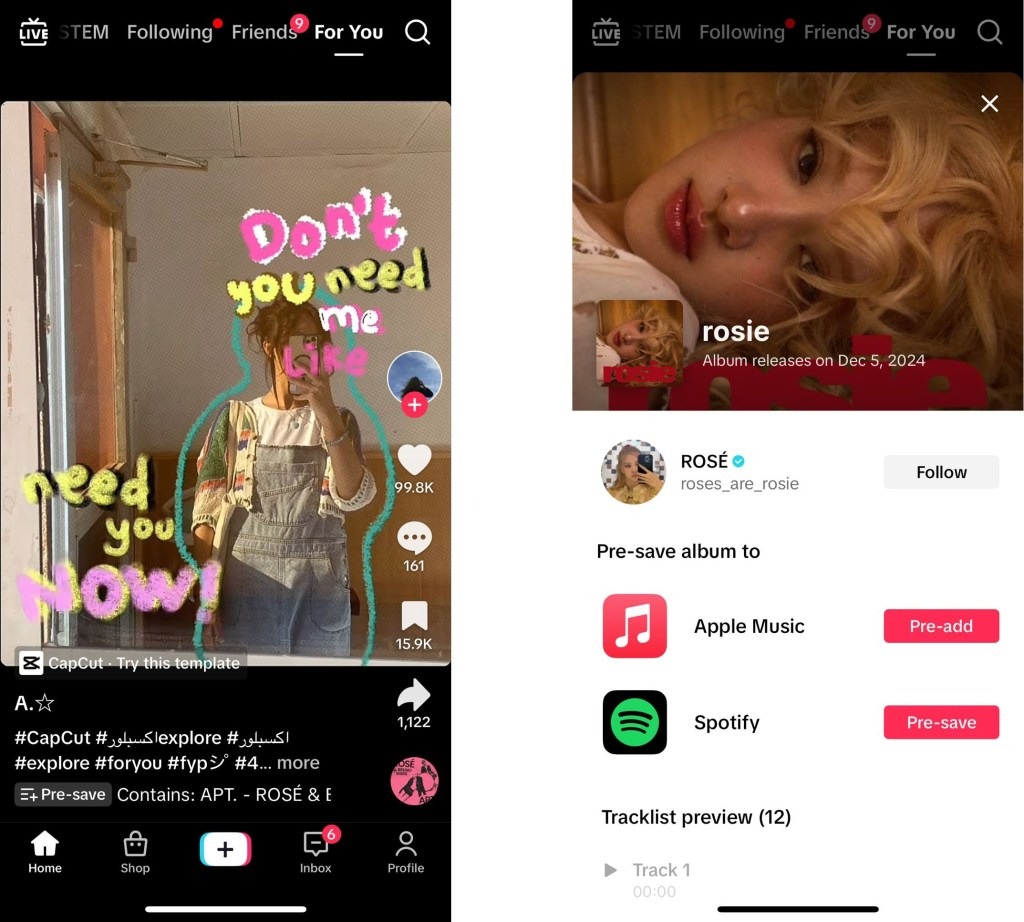 TikTok could bring perfect promo for upcoming albums