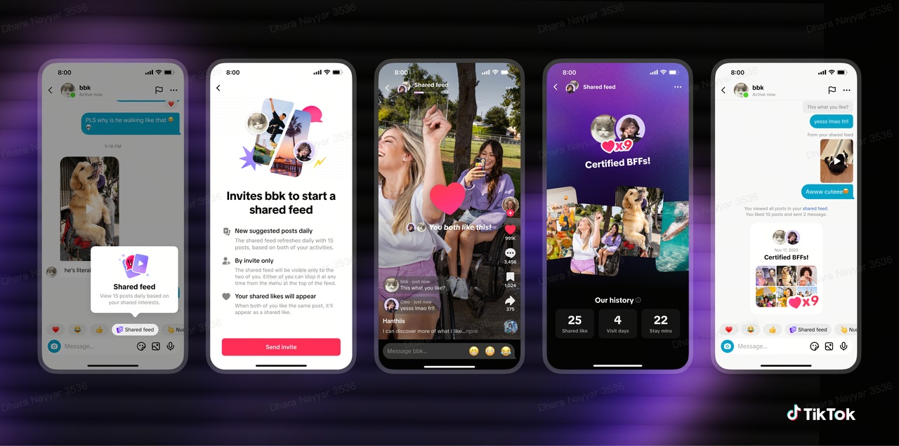 TikTok introduces Shared Collections and Shared Feeds for group discovery