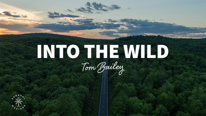 Tom Bailey – Into The Wild – Refreshing Chill House