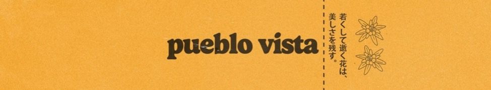 Pueblo Vista: A Distinctive Niche in the Lofi Landscape