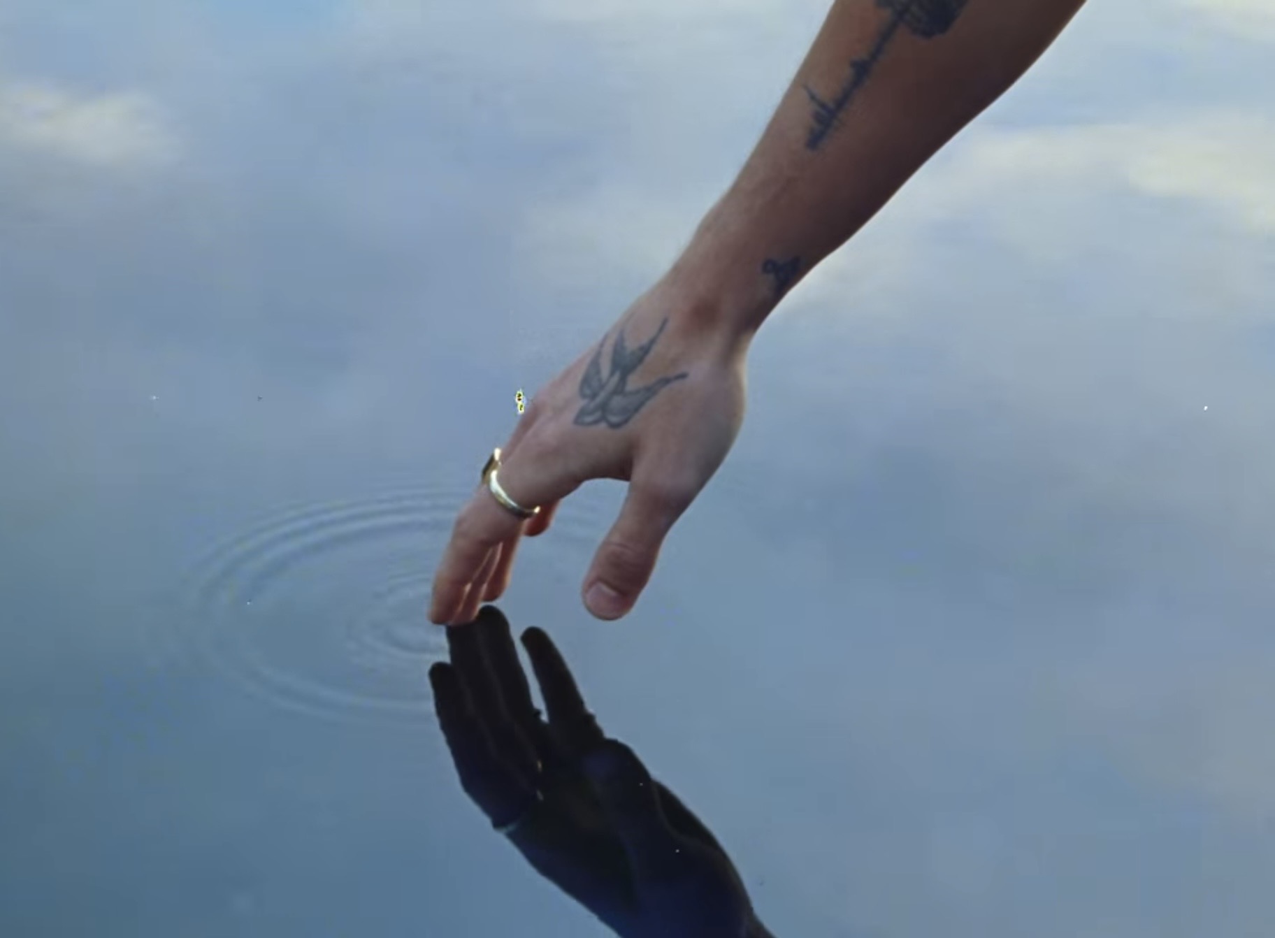 Shawn Mendes – Why Why Why: A Deeply Emotional Pop Ballad