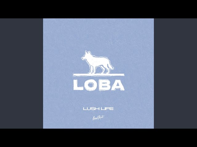 Loba – Lush Life Review – Dreamy Indie-Pop with Late-Night Atmosphere