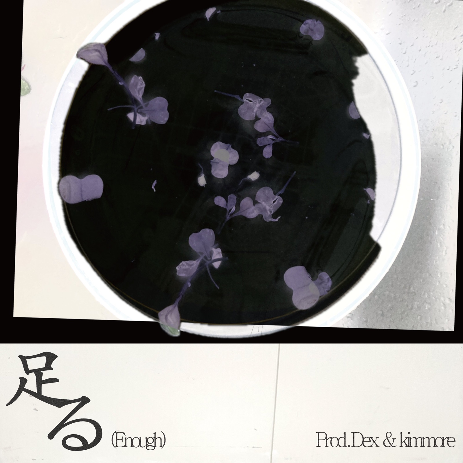 The Quiet Comfort of Just Enough: Prod.Dex and kimmore’s ‘足る’