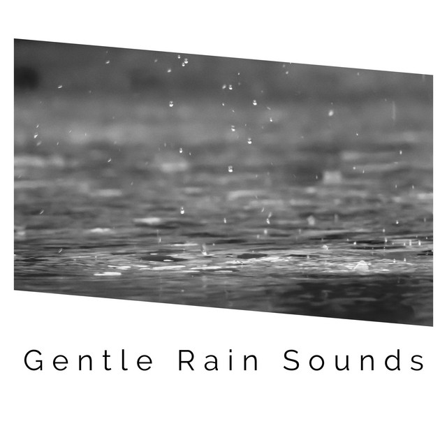 Snuggly – Soft Rain Sounds Review – A Gentle Ambient Soundscape for Sleep and Relaxation