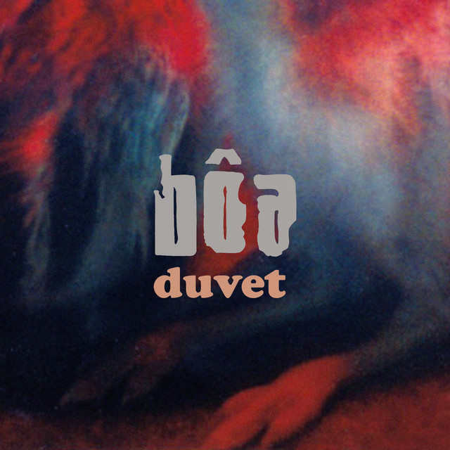 What Does “Duvet” by bôa Mean?